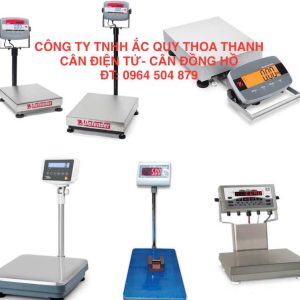 Cân Điện Tử Bình Dương